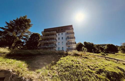 Location Studio 4 pers avec balcon à Plan Peisey - FR-1-757-105 - Foto 11