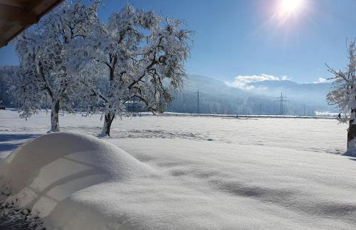 Bergeblick Bichl an der Ludlmühle - Foto 5