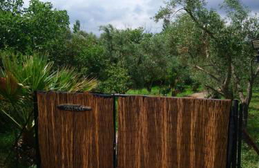 Sol's Place - Photo 23