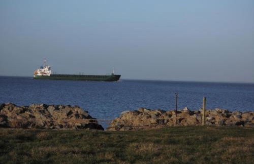 Erlebnishof Katthusen - Foto 18