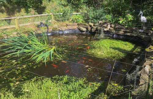 Fistral Cottage - Cwc46839 - Foto 14