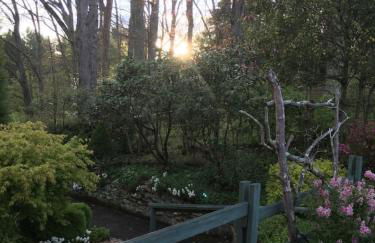 Secret Garden Getaway - Apartment in Asheville near the Great Smokey Mountains! - Foto 34