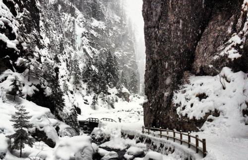 Apartments Sol E Nef - Foto 69