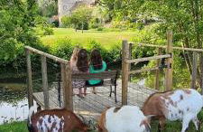 Le Cabanon - Foto 20