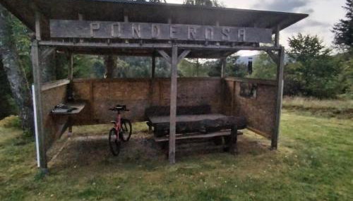 Chalet le Ponderosa - Foto 4, Garden