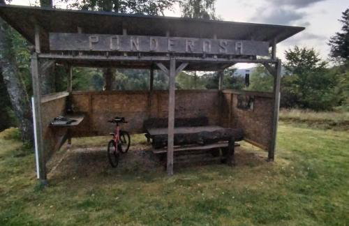 Chalet le Ponderosa - Foto 4