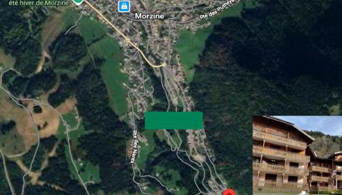 Appartement 4-6 pers au pied des pistes Morzine, animaux admis, parking - FR-1-754-28 - Foto 5