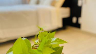 À 500m do Sambódromo, Sapucaí, Carnaval - Apto Inteiro Cama Queen - Foto 4