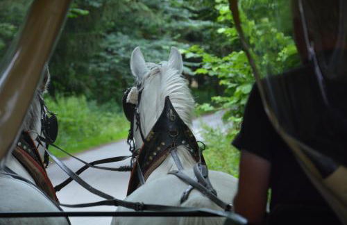 Verlegerhaus Seiffen - Foto 40