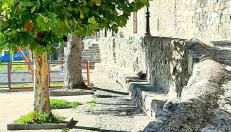 La Dueña I - Photo 4