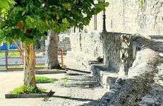 La Dueña I - Photo 4