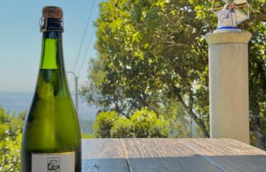 O Moinho de Vale da Mó - Foto 30