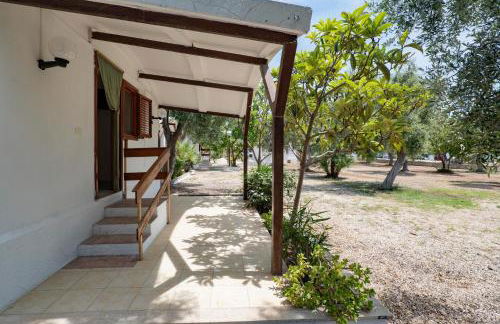 Residence Lido dei Pini - Foto 33