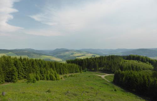 Das Nest Winterberg - Foto 46