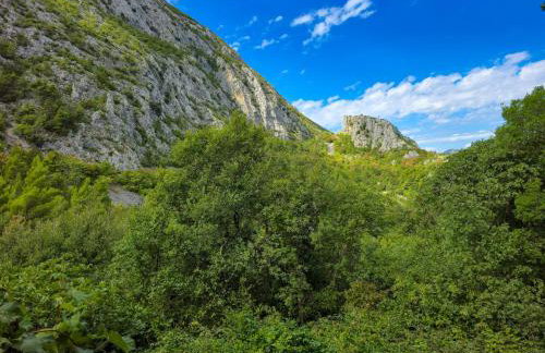 Villa Tiho - Foto 57