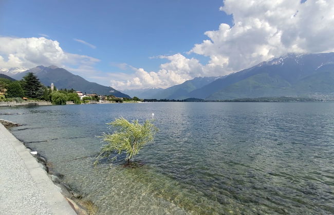 Gelsomino (GLA125) - Foto 28