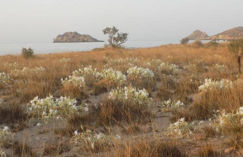 Alkionides Villas - Foto 42