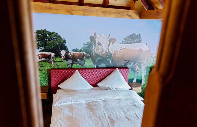 Forest House in Friesland With Sauna - Foto 10