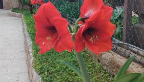 Casa De Grazia - Photo 3