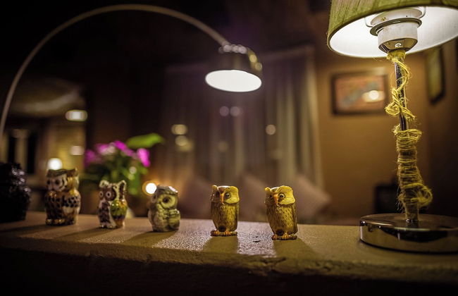 Mingtang Boutique Cottage - Photo 79