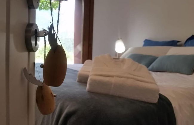 Cal Baridà - Foto 14