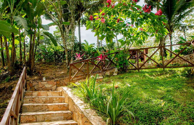 Hotel Cantinho Das Flores - Photo 45