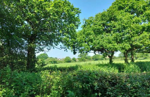 'Serenity in Somerset ' Self Catering House Rental Near Chard , Accomodation for Contract Workers only - Foto 9
