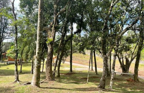 Chalé dos Coqueiros em Nova Petrópolis - Foto 8