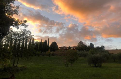 Country house Il Poggio - Foto 29