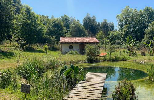 Associação Quinta das Relvas - Foto 19