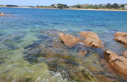 Les meloines - Foto 37