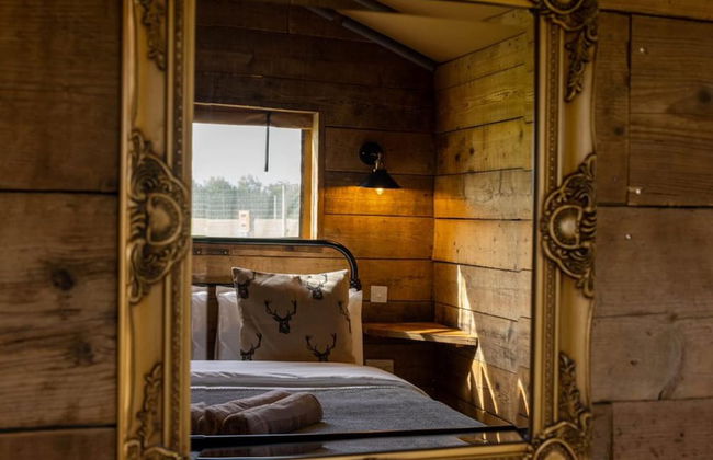 Luxury Safari Lodge Surrounded by Deer!! 'fallow' - Foto 9