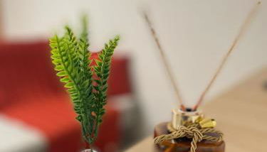 Apartamento aconchegante e completo PROXIMO AO AEROPORTO-COP-30 - Foto 5