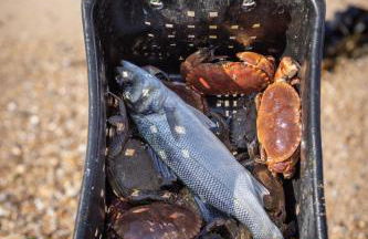 Aguda Beach Porto, Slow Travel Houses - Foto 39