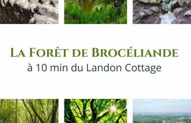 Landon Cottage - Foto 14