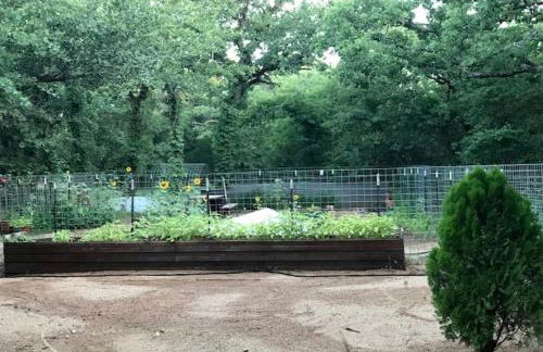 Hidden Treasure Harvest House Forest Getaway 30 Min. West of Fort Worth - Photo 31