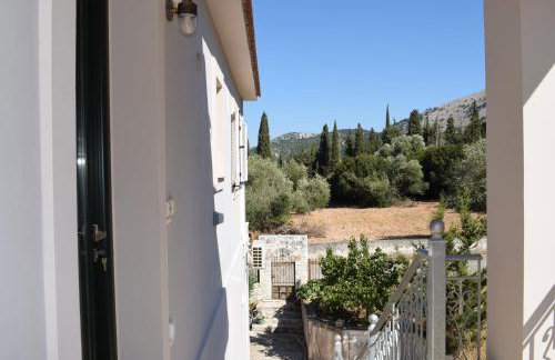 Black & White Apartments - Foto 11