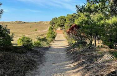 Maison dans les dunes - Photo 17