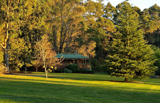 Diamond Forest Farm Stay - Foto 7