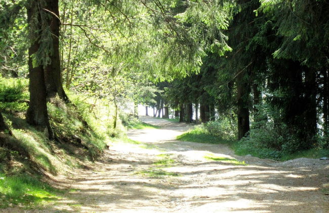 Boutique Chalet in Büllingen near Lake - Photo 35