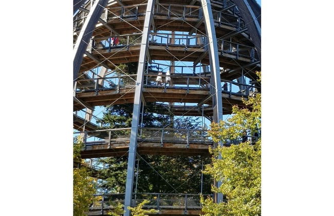 Holiday Apartment Breit - Foto 23