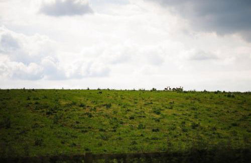 Kite Lodge - Foto 42