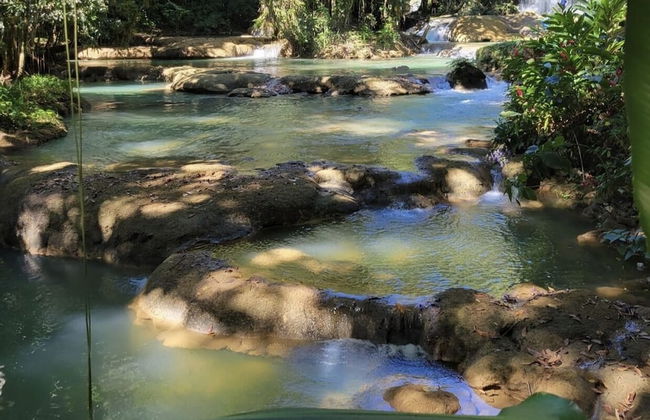 Seacret Studios - Cozy Jamaican Retreat Apts by RedAwning - Photo 26