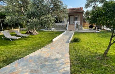 Olivia apartment - Foto 1