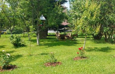 Watra apartamenty - Foto 14