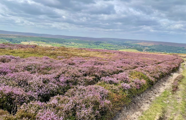 Church House Farm - Foto 46