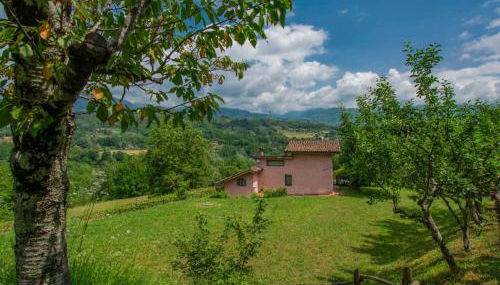 Holiday Home Casa dei Ciliegi by Interhome - Foto 4