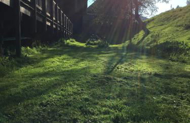 Schwarzwaldbauernhaus Bernau - Foto 26