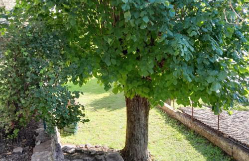 Gîte NOCTUA chez Gîtes QUE CANTA - Photo 71