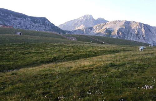 Rifugio del Gran Sasso - Foto 39